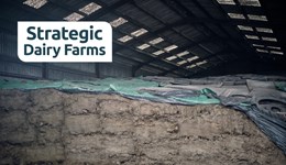 Cumbria: From field to feed barrier - Silage strategies for dairy success